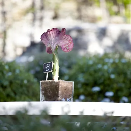 Torri E Merli Boutique Hotel Lakka (Paxos)