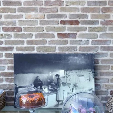 Torri E Merli Boutique