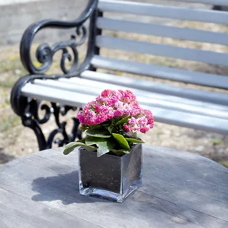 Torri E Merli Boutique