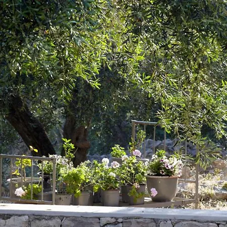 Hotel Torri E Merli By Ghh 5*